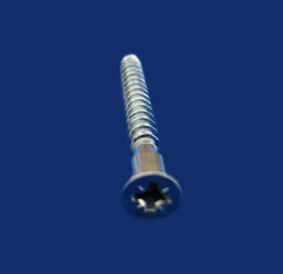 Chipboard Common Screw Wood Screw5