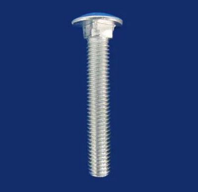 Carriage Bolt Screws And Nuts4