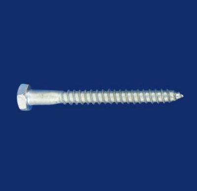 Din571 Wood Metal Screws5